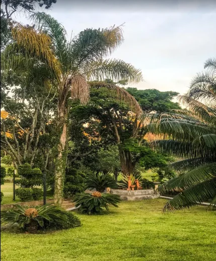 Georgias Gardens Rocky Lodge