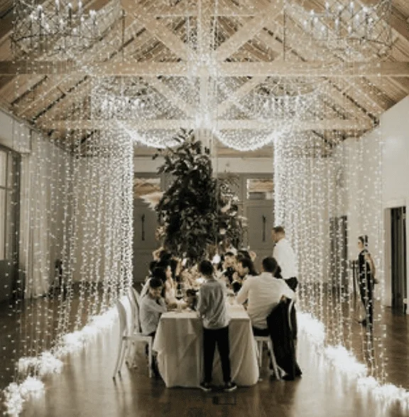 Fairy Light Curtain (extra large)