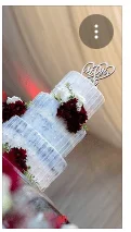 Cake Fairy Zim