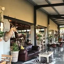 Vinboho