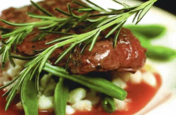 APETITE catering