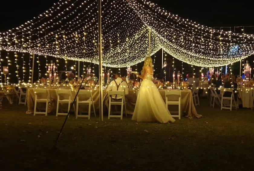 Destination Dream: A Guide to Planning Your Wedding in the Heart of Africa - Zimbabwe