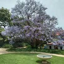 Fynbos Estate
