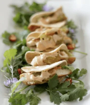 Absolute Catering