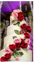 Cake Fairy Zim