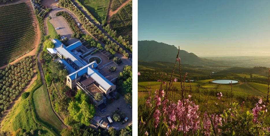 Tokara Wine Estate