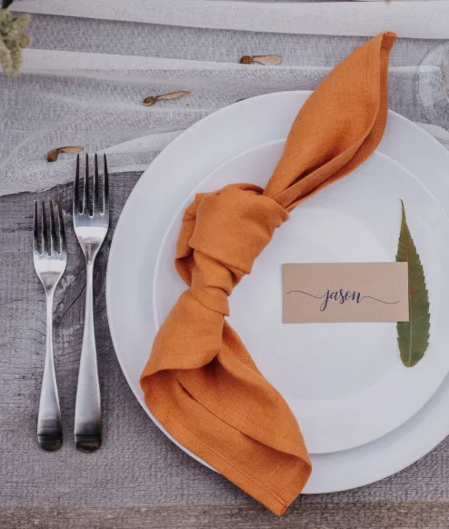 Orange Organic Napkins