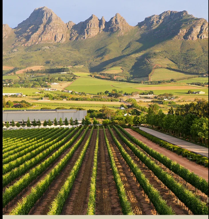 Cavalli Estate