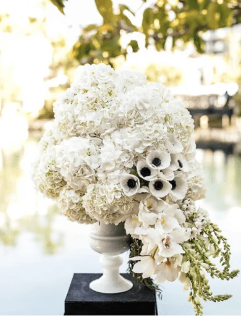 Aspen Flowers & Co