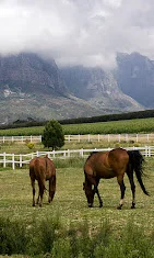 Zorgvliet Wine Estate