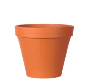 Classic Terracotta Pot