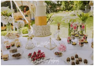 Cake Fairy Zim