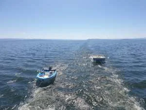 Navistar Houseboat Kariba