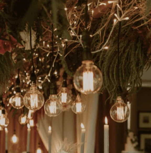 Edison Bulb Strings