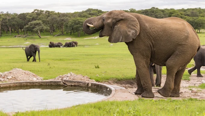 South Africa