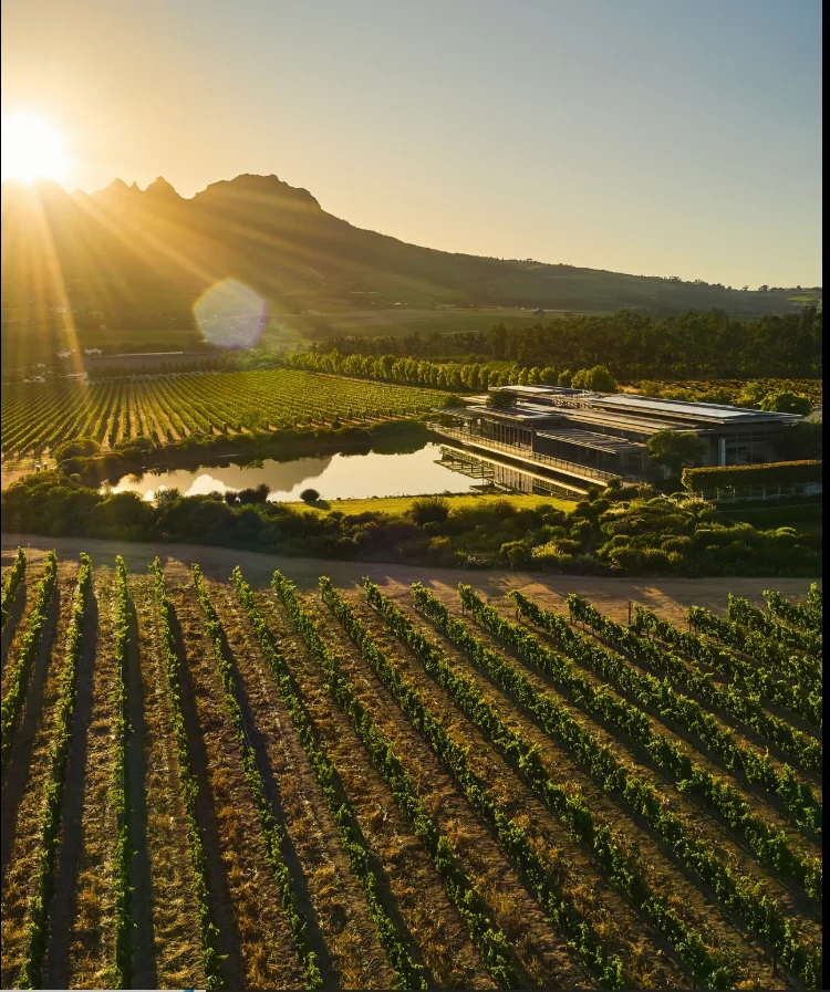 Cavalli Estate