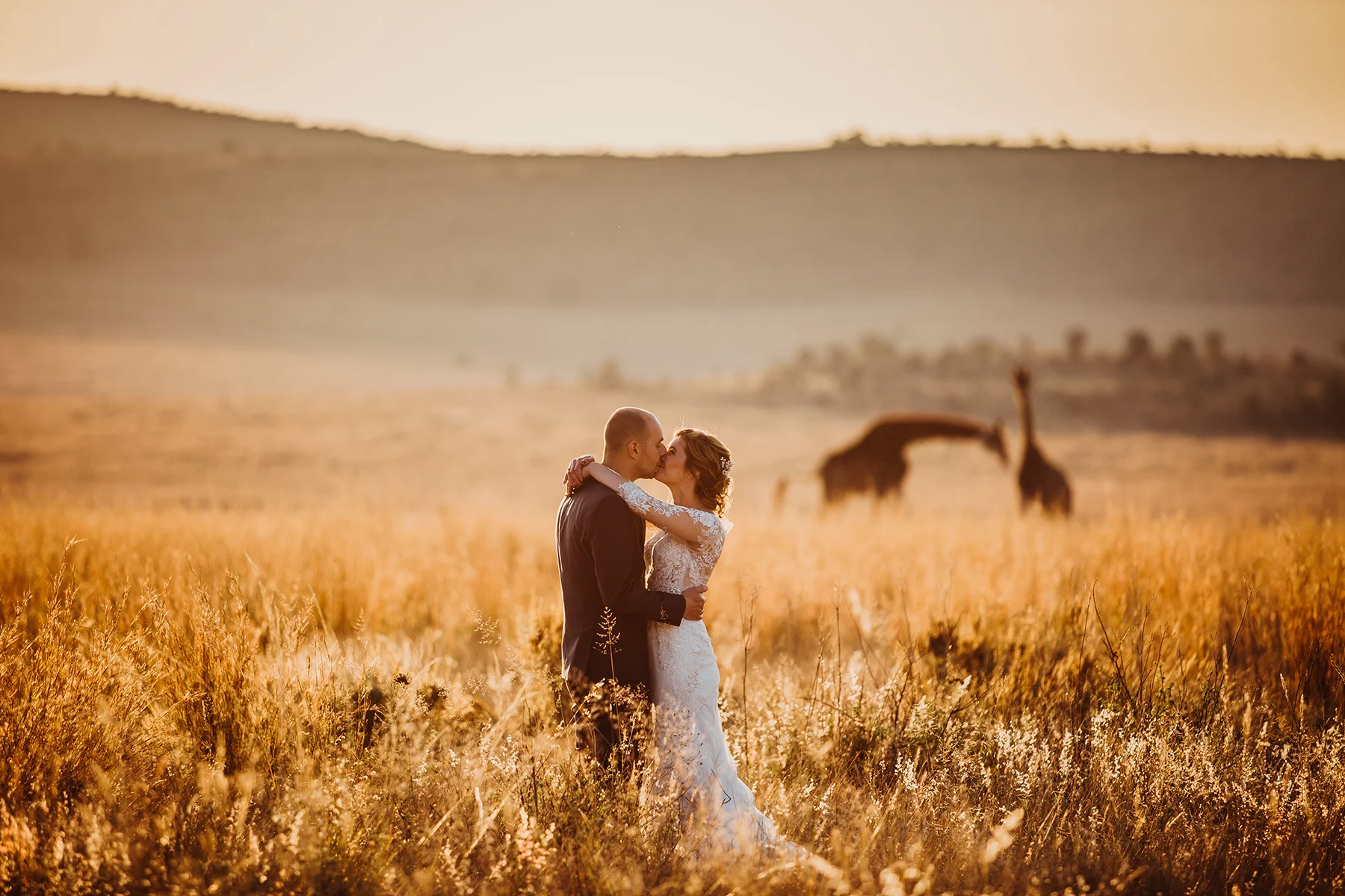 5 Breathtaking Safari Encounters That Changed Views on Wildlife Conservation