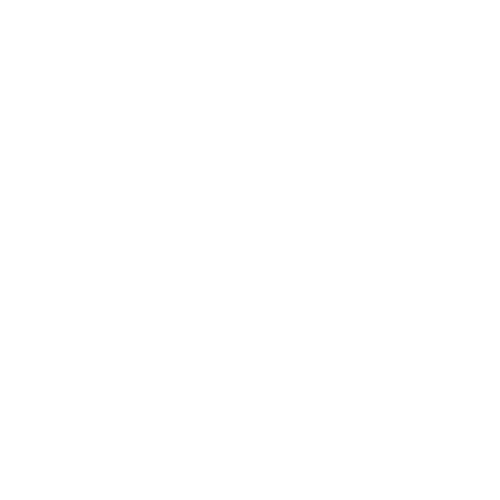Plan My Wedding logo transparent white
