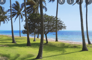 Archipelago resort palm trees - Plan my wedding africa