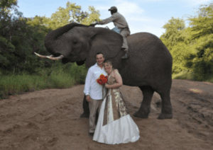 Bento Videographers | Plan My Wedding Africa
